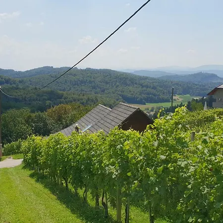 Zidanica Meglic - Vineyard Meglic