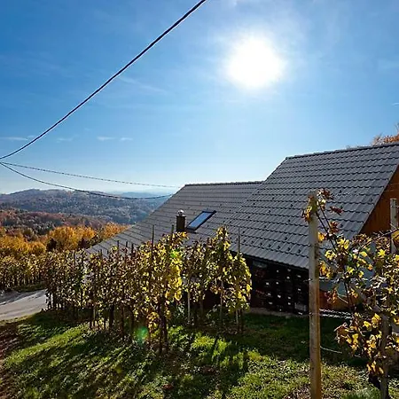 Zidanica Meglic - Vineyard Meglic Trebnje