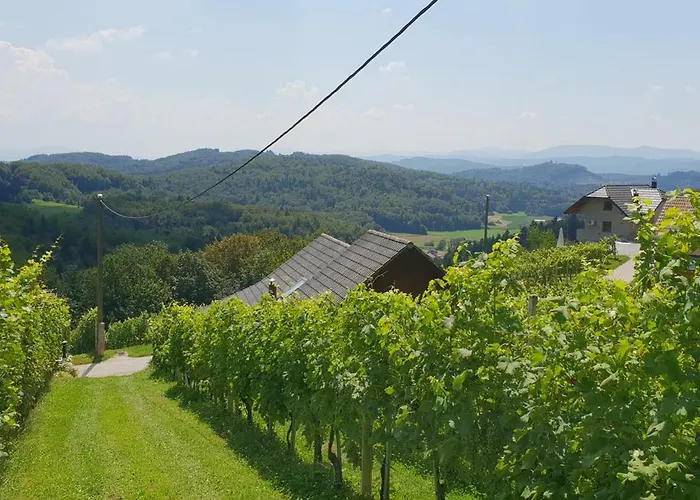 Zidanica Meglic - Vineyard Meglic