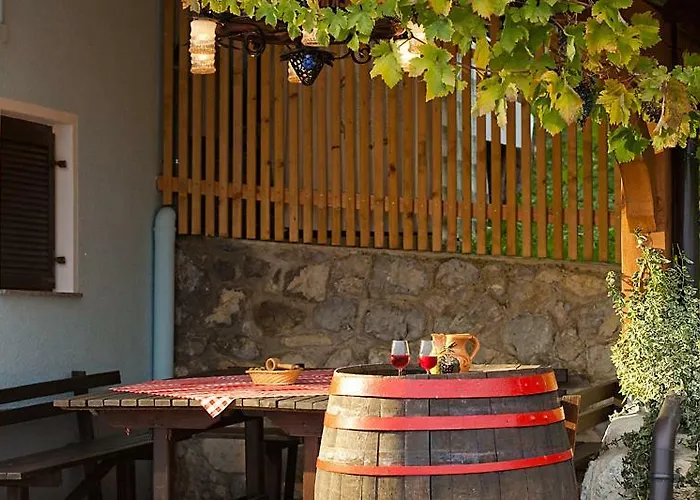 Zidanica Meglic - Vineyard Meglic