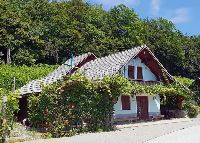 Casa vacanze Zidanica Meglic - Vineyard Meglic Trebnje