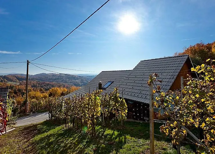 Zidanica Meglic - Vineyard Meglic Trebnje